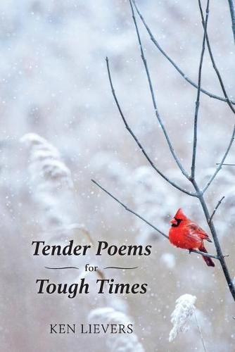 Cover image for Tender Poems for Tough Times