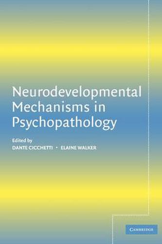 Neurodevelopmental Mechanisms in Psychopathology, (9780521802253 ...