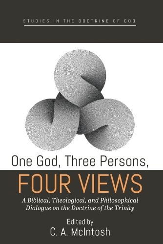 Cover image for One God, Three Persons, Four Views