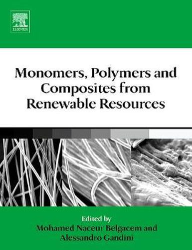 Cover image for Monomers, Polymers and Composites from Renewable Resources