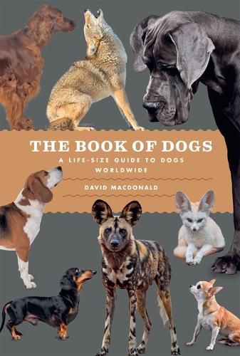 Cover image for The Book of Dogs
