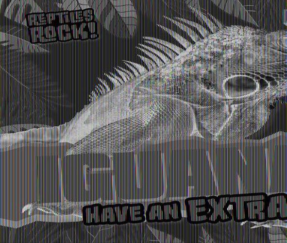 Cover image for Iguanas Have an Extra Eye!