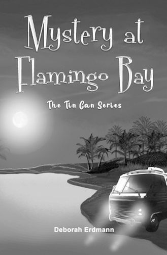 Cover image for Mystery at Flamingo Bay
