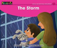 Cover image for The Storm Leveled Text