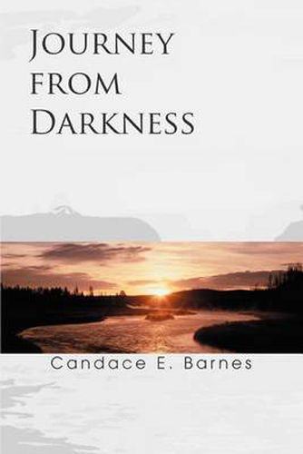 Cover image for Journey from Darkness