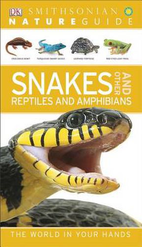 Cover image for Nature Guide: Snakes and Other Reptiles and Amphibians: The World in Your Hands