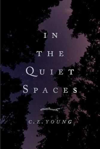 Cover image for In the Quiet Spaces