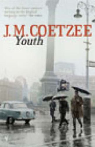 Cover image for Youth
