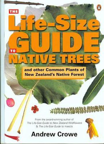 The Life-Size Guide to Native Trees: and other common plants of New Zealand's native forest