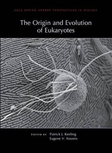 Cover image for The Origin and Evolution of Eukaryotes