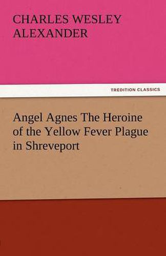 Cover image for Angel Agnes the Heroine of the Yellow Fever Plague in Shreveport