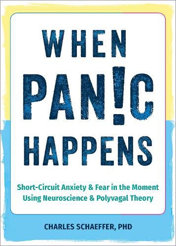 Cover image for When Panic Happens