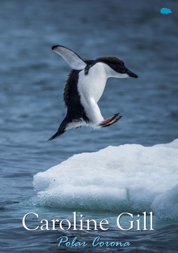 Cover image for Polar Corona