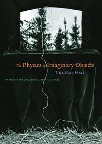 Cover image for The Physics of Imaginary Objects