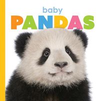 Cover image for Baby Pandas