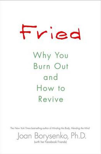 Cover image for Fried: Why You Burn Out and How to Revive