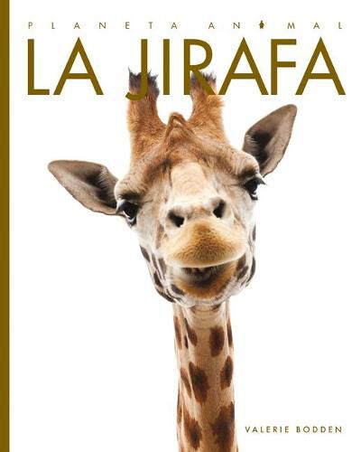 Cover image for La Jirafa