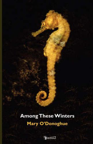 Cover image for Among These Winters