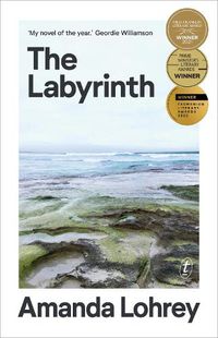 Cover image for The Labyrinth: Winner of the 2021 Miles Franklin Literary Award