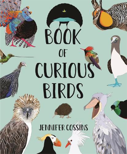 Cover image for Book of Curious Birds