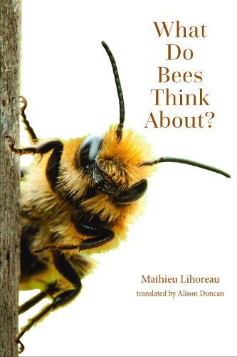 Cover image for What Do Bees Think About?