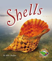 Cover image for Shells