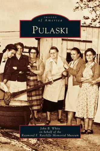 Cover image for Pulaski
