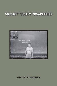 Cover image for What They Wanted