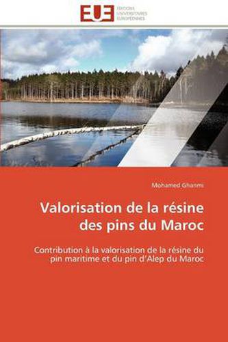 Cover image for Valorisation de La R Sine Des Pins Du Maroc