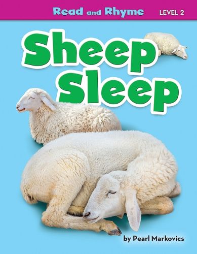 Cover image for Sheep Sleep