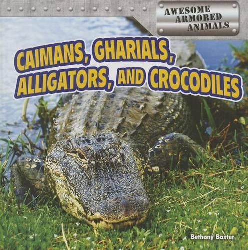 Cover image for Caimans, Gharials, Alligators, and Crocodiles