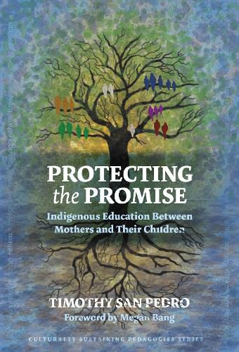 Cover image for Protecting the Promise: Indigenous Education Between Mothers and Their Children