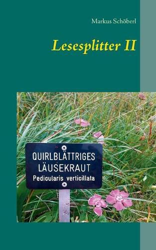 Cover image for Lesesplitter II