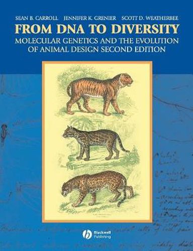Cover image for From DNA to Diversity: Molecular Genetics and the Evolution of Animal Design