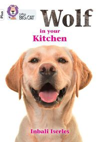 Cover image for Wolf in your kitchen: Band 10+/White Plus