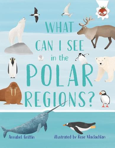 Cover image for What Can I See in the Polar Regions?