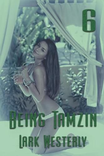 Cover image for Being Tamzin 6