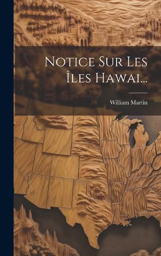 Cover image for Notice Sur Les Iles Hawai...