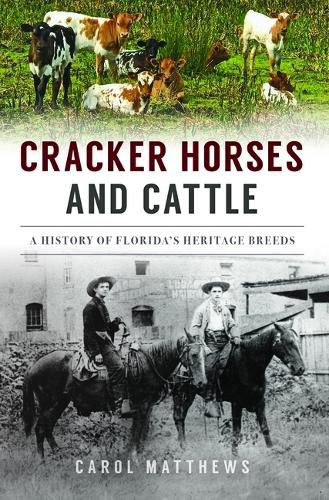 Cracker Horses and Cattle