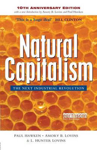 Cover image for Natural Capitalism: The Next Industrial Revolution