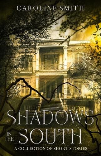 Cover image for Shadows in the South