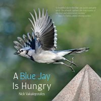 Cover image for A Blue Jay is Hungry