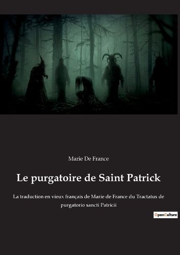 Cover image for Le purgatoire de Saint Patrick