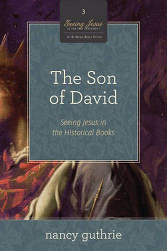 Cover image for The Son of David: Seeing Jesus in the Historical Books