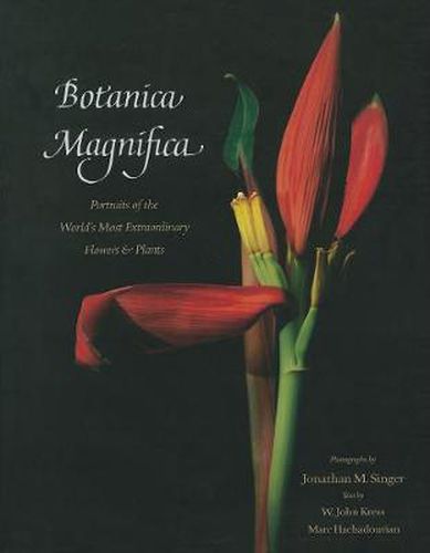 Botanica Magnifica