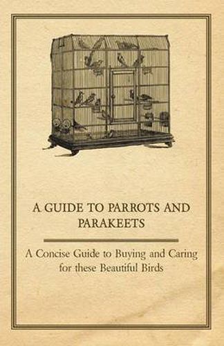 Cover image for A Guide to Parrots and Parakeets - A Concise Guide to Buying and Caring for These Beautiful Birds