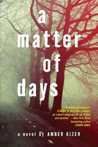 Cover image for A Matter of Days