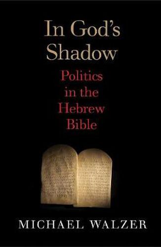Cover image for In God's Shadow: Politics in the Hebrew Bible