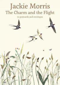 Cover image for Charm and the Flight Postcard Pack, The