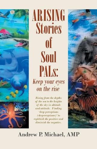 Cover image for Arising Soul Pals: Keep Your Eyes on the Rise